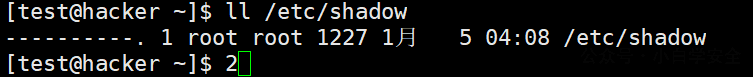 image-20250105053810829