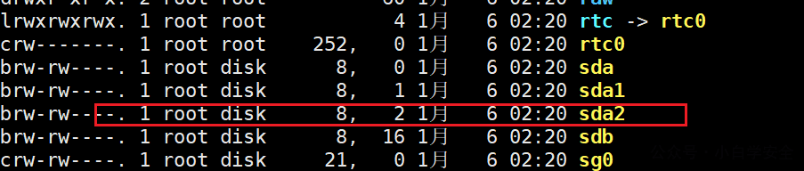 image-20250106022442817