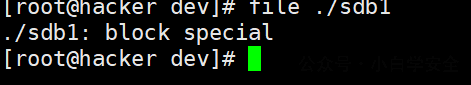 image-20250106023246981