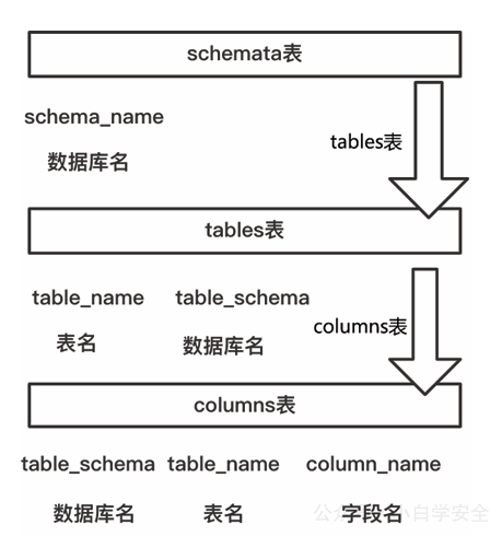 MySQL数据库